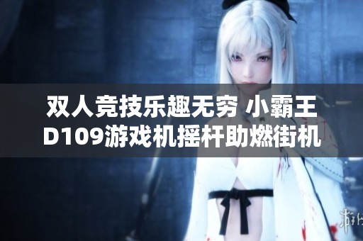 双人竞技乐趣无穷 小霸王D109游戏机摇杆助燃街机热情
