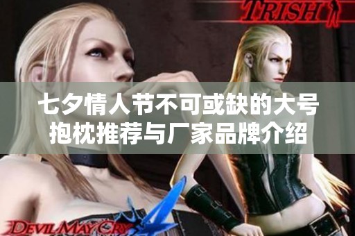 七夕情人节不可或缺的大号抱枕推荐与厂家品牌介绍