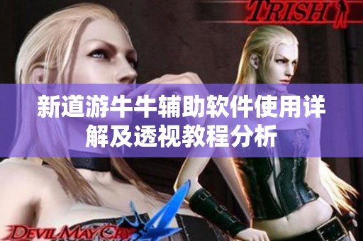 新道游牛牛辅助软件使用详解及透视教程分析