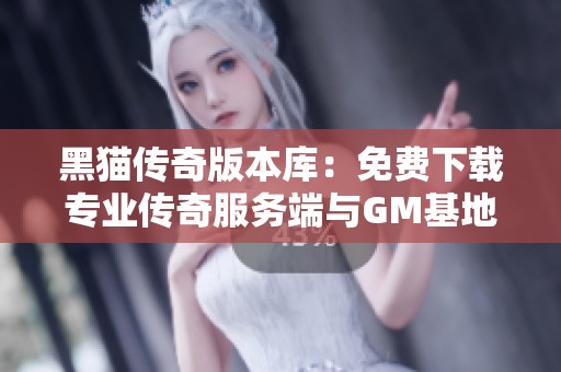 黑猫传奇版本库：免费下载专业传奇服务端与GM基地资源