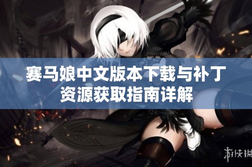 赛马娘中文版本下载与补丁资源获取指南详解
