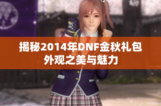 揭秘2014年DNF金秋礼包外观之美与魅力