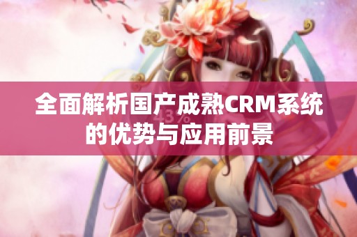 全面解析国产成熟CRM系统的优势与应用前景