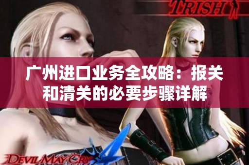广州进口业务全攻略：报关和清关的必要步骤详解