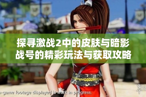 探寻激战2中的皮肤与暗影战号的精彩玩法与获取攻略