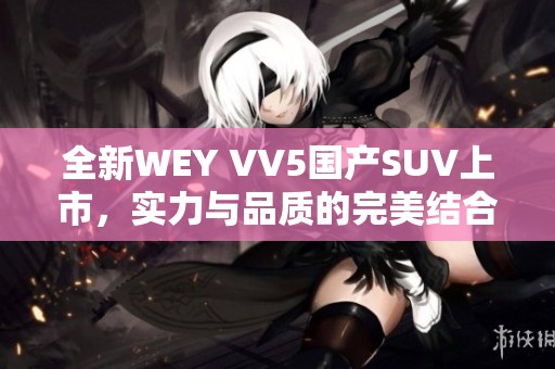 全新WEY VV5国产SUV上市，实力与品质的完美结合