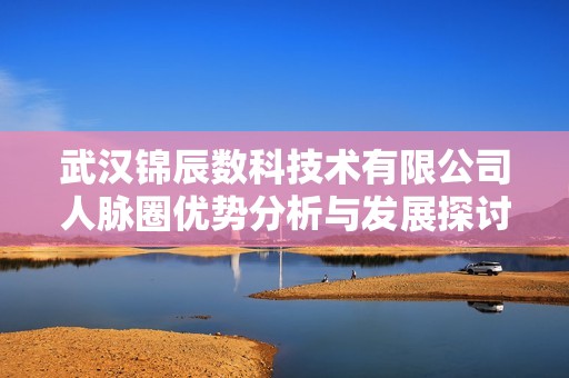 武汉锦辰数科技术有限公司人脉圈优势分析与发展探讨