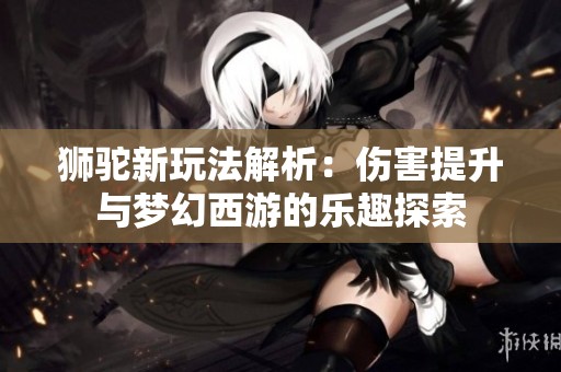 狮驼新玩法解析：伤害提升与梦幻西游的乐趣探索
