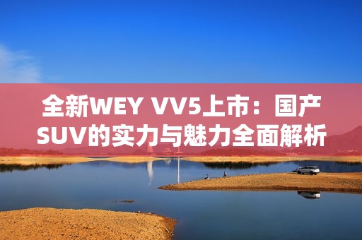 全新WEY VV5上市：国产SUV的实力与魅力全面解析