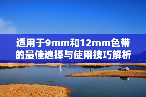 适用于9mm和12mm色带的最佳选择与使用技巧解析