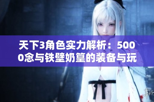 天下3角色实力解析：5000念与铁壁奶篁的装备与玩法探讨