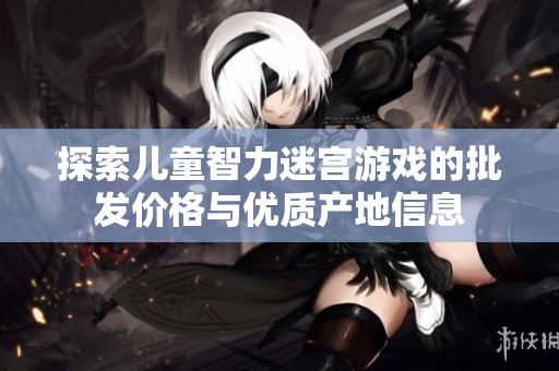 探索儿童智力迷宫游戏的批发价格与优质产地信息