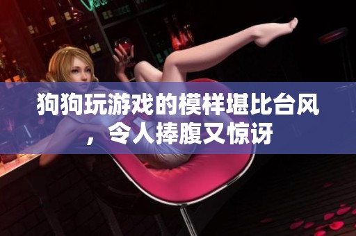 狗狗玩游戏的模样堪比台风，令人捧腹又惊讶