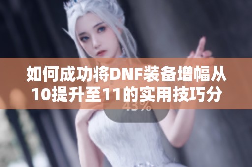 如何成功将DNF装备增幅从10提升至11的实用技巧分享