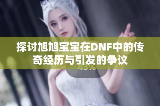 探讨旭旭宝宝在DNF中的传奇经历与引发的争议