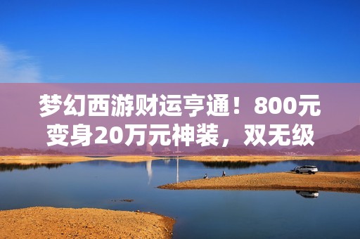 梦幻西游财运亨通！800元变身20万元神装，双无级别鞋子频现！