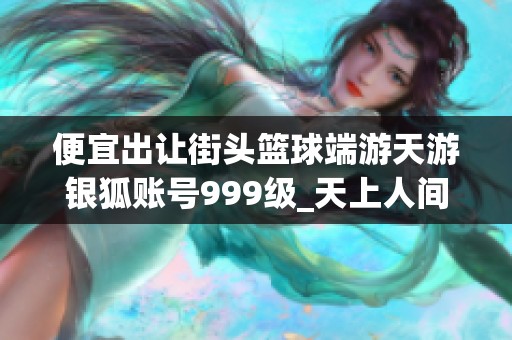 便宜出让街头篮球端游天游银狐账号999级_天上人间同乐分享
