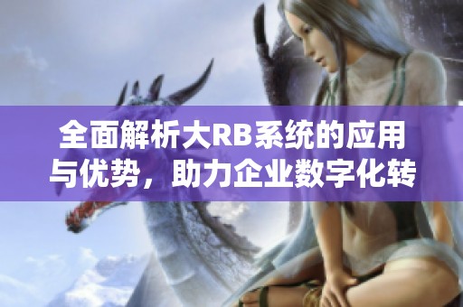 全面解析大RB系统的应用与优势，助力企业数字化转型