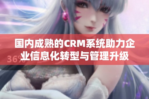 国内成熟的CRM系统助力企业信息化转型与管理升级