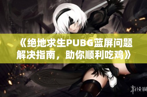 《绝地求生PUBG蓝屏问题解决指南，助你顺利吃鸡》