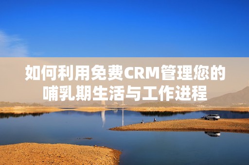 如何利用免费CRM管理您的哺乳期生活与工作进程