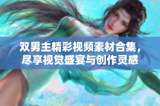 双男主精彩视频素材合集，尽享视觉盛宴与创作灵感