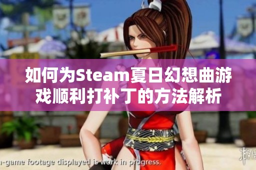 如何为Steam夏日幻想曲游戏顺利打补丁的方法解析