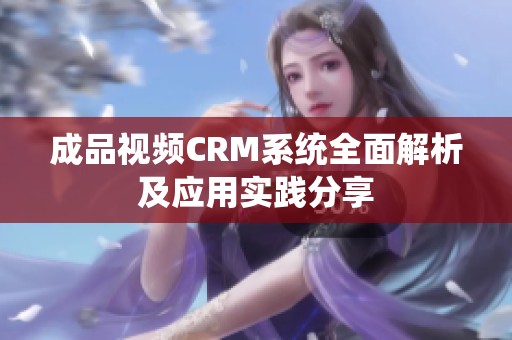 成品视频CRM系统全面解析及应用实践分享