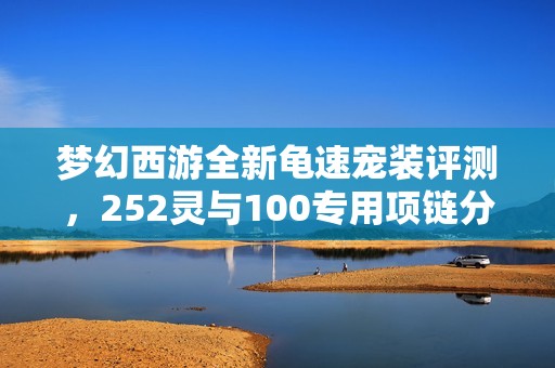 梦幻西游全新龟速宠装评测，252灵与100专用项链分析