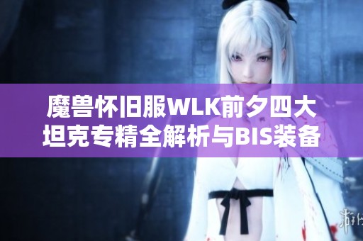 魔兽怀旧服WLK前夕四大坦克专精全解析与BIS装备推荐攻略