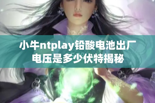 小牛ntplay铅酸电池出厂电压是多少伏特揭秘