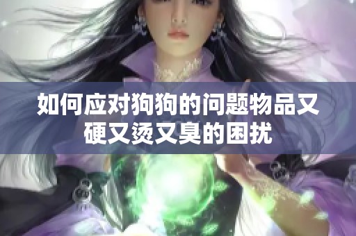 如何应对狗狗的问题物品又硬又烫又臭的困扰