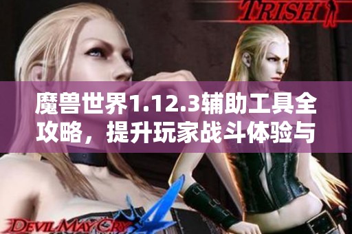 魔兽世界1.12.3辅助工具全攻略，提升玩家战斗体验与效率