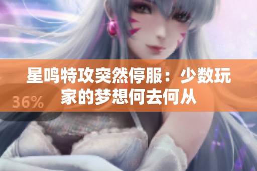 星鸣特攻突然停服：少数玩家的梦想何去何从