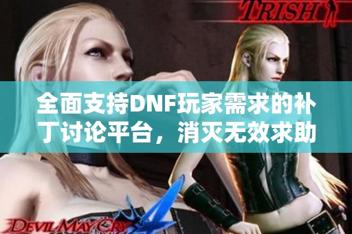 全面支持DNF玩家需求的补丁讨论平台，消灭无效求助行为