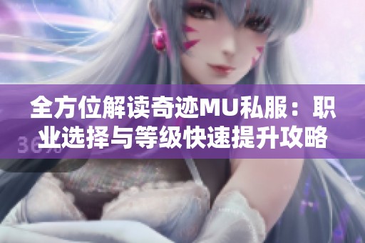 全方位解读奇迹MU私服：职业选择与等级快速提升攻略