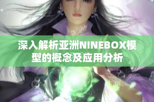 深入解析亚洲NINEBOX模型的概念及应用分析