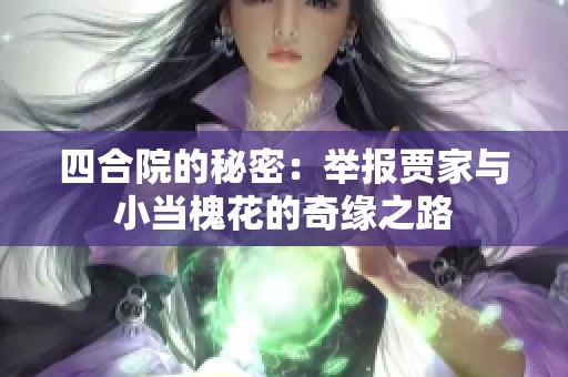 四合院的秘密：举报贾家与小当槐花的奇缘之路