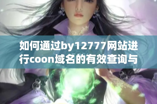 如何通过by12777网站进行coon域名的有效查询与分析