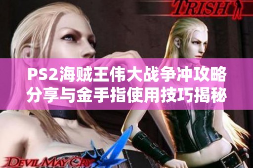 PS2海贼王伟大战争冲攻略分享与金手指使用技巧揭秘