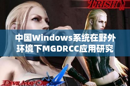 中国Windows系统在野外环境下MGDRCC应用研究新进展