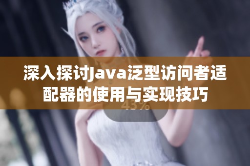 深入探讨Java泛型访问者适配器的使用与实现技巧