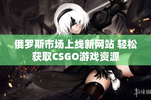 俄罗斯市场上线新网站 轻松获取CSGO游戏资源