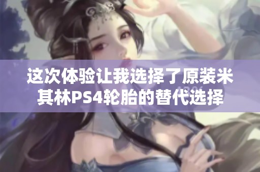 这次体验让我选择了原装米其林PS4轮胎的替代选择