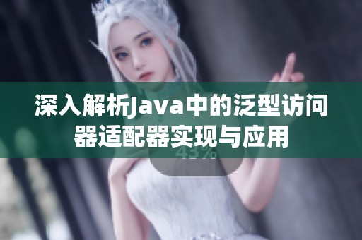 深入解析Java中的泛型访问器适配器实现与应用