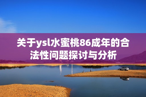 关于ysl水蜜桃86成年的合法性问题探讨与分析