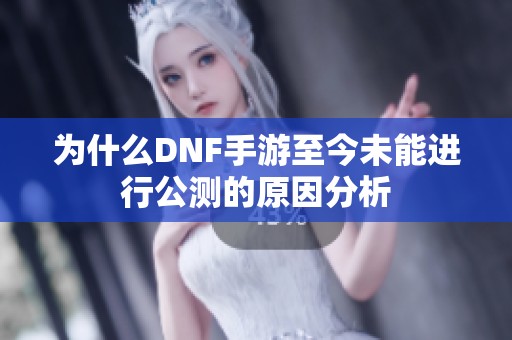 为什么DNF手游至今未能进行公测的原因分析