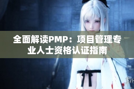 全面解读PMP：项目管理专业人士资格认证指南