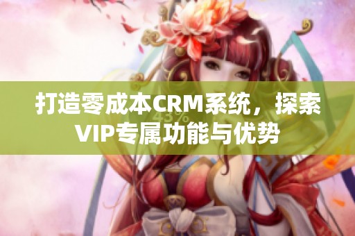 打造零成本CRM系统，探索VIP专属功能与优势