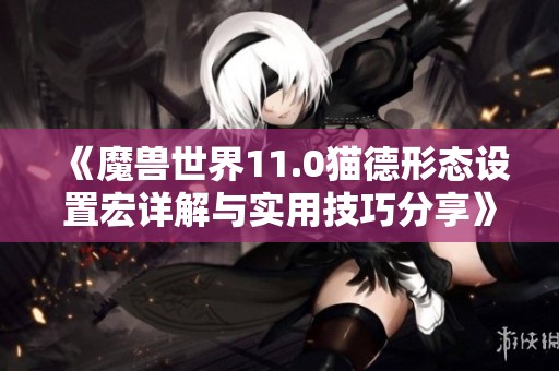 《魔兽世界11.0猫德形态设置宏详解与实用技巧分享》